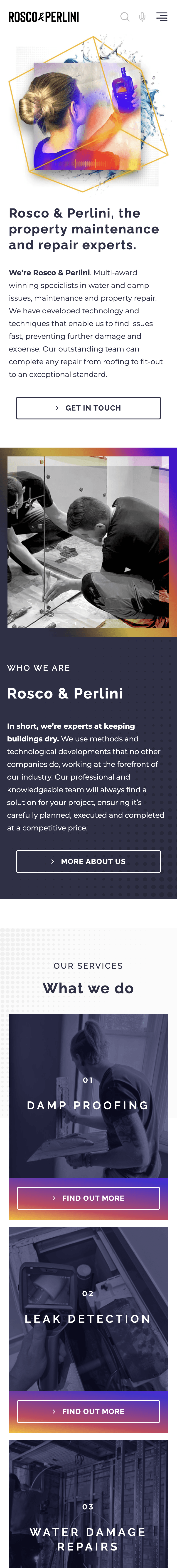 mobile screenshot showing recent website built for roscoandperlini.co.uk